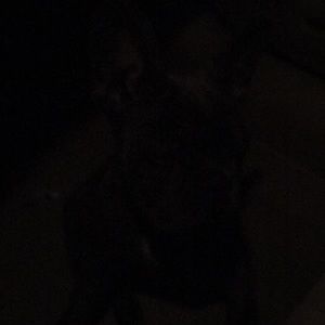 Meet your Posher, Dale